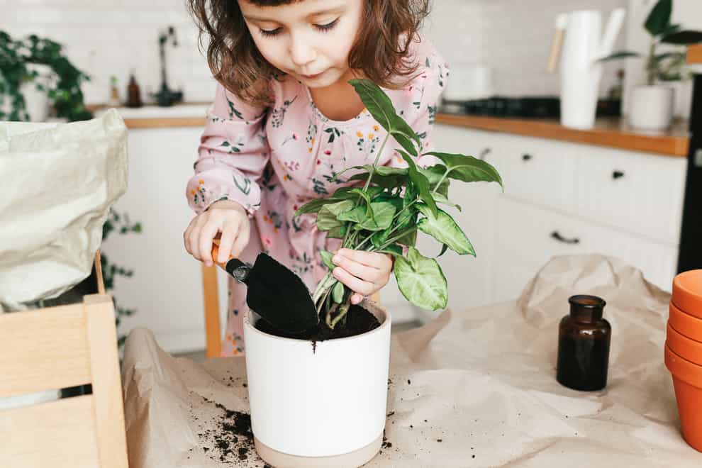 A little girl trying to plant a houseplant (iStock/PA)