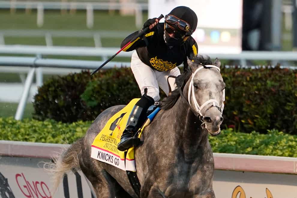 Knicks Go is among the nominations for the Dubai World Cup
