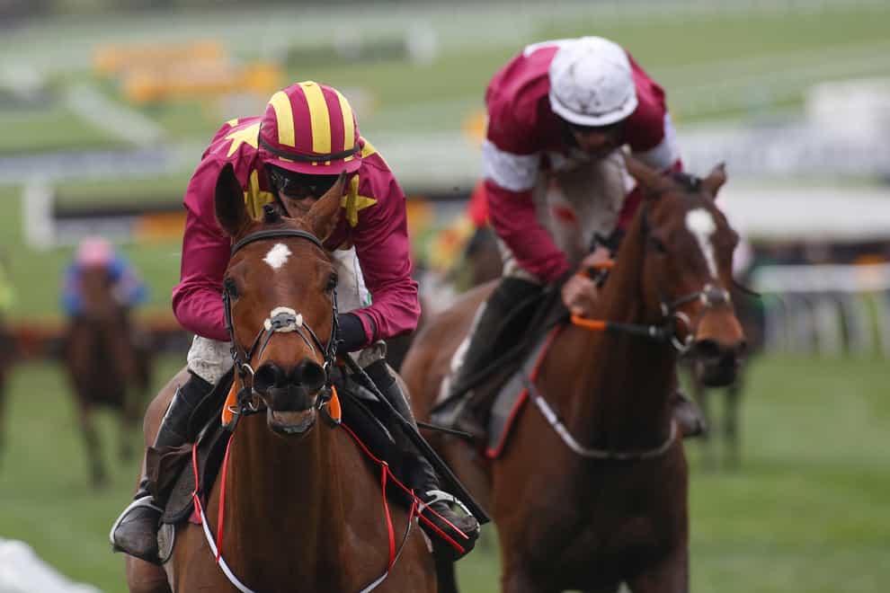 Minella Indo (left) is favourite for the Irish Gold Cup