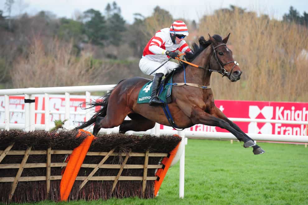 Master McShee goes for gold at Leopardstown this weekend