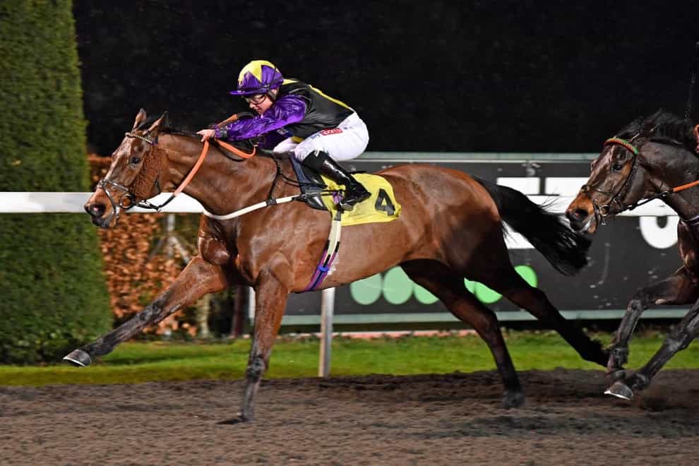 Rainbow Dreamer is set for All-Weather Championships Finals Day following this victory at Kempton