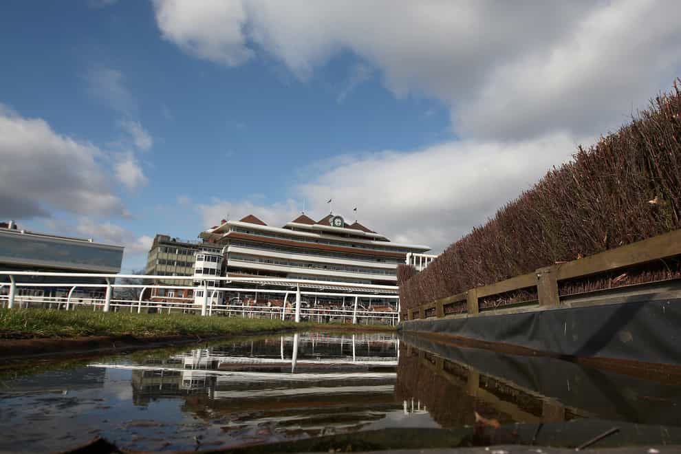 The entire course at Newbury has been covered ahead of their big meeting on Saturday