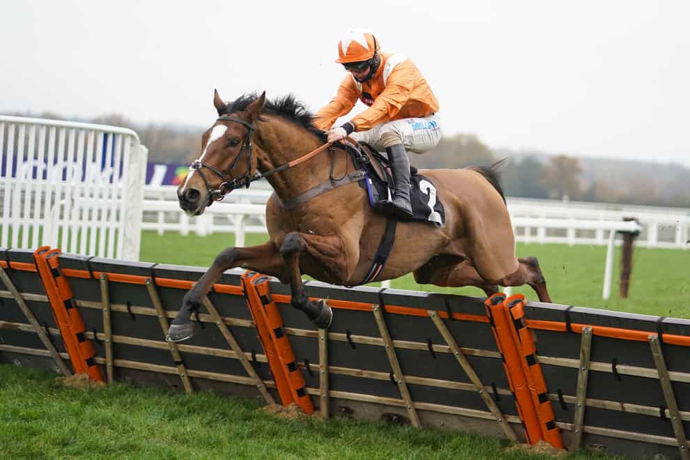 Metier is favourite for the Betfair Hurdle
