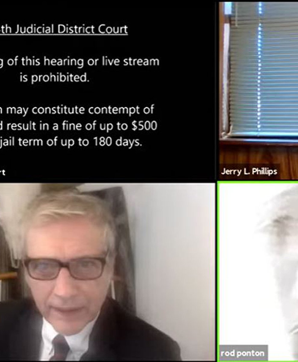 Screenshot of zoom call showing lawyer as a cat