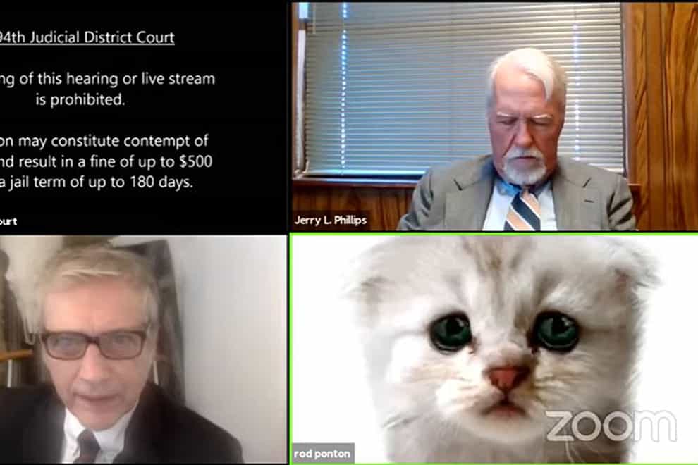 Screenshot of zoom call showing lawyer as a cat