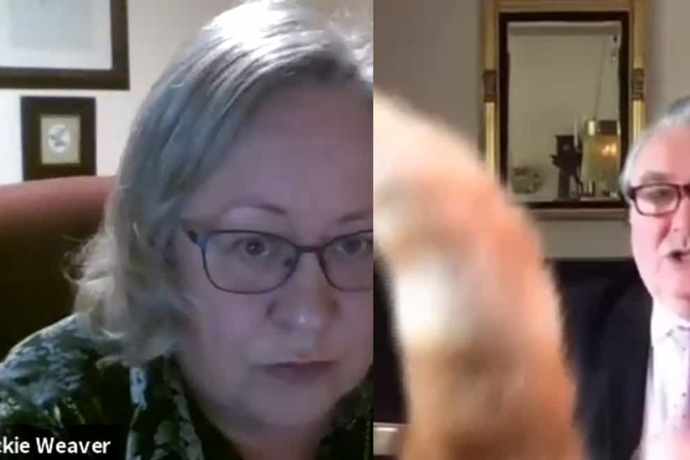 File screengrab taken from video of a Zoom meeting dated 10/12/20 showing parish clerk Jackie Weaver during a meeting of Handforth Parish Council, and SNP MP John Nicolson is interrupted by a cat