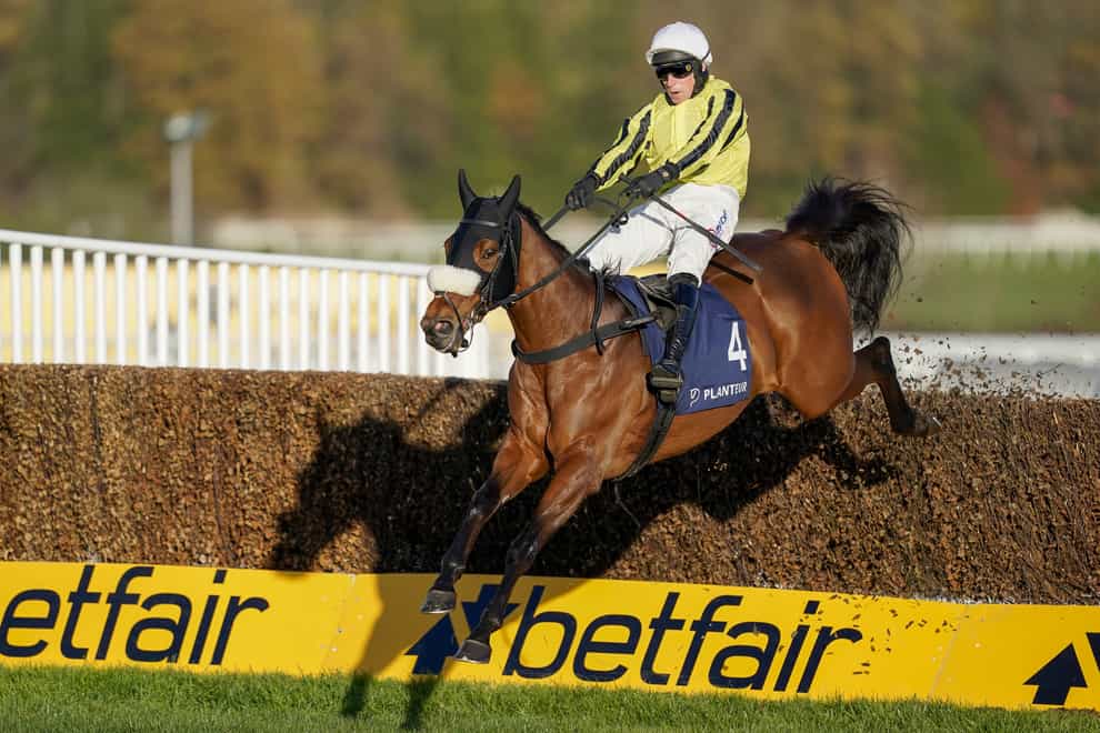 Allmankind will run in the Kingmaker Novices' Chase even if it is rescheduled
