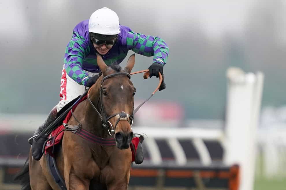 Thyme Hill is said to be in fine form ahead of the Paddy Power Stayers' Hurdle at Cheltenham