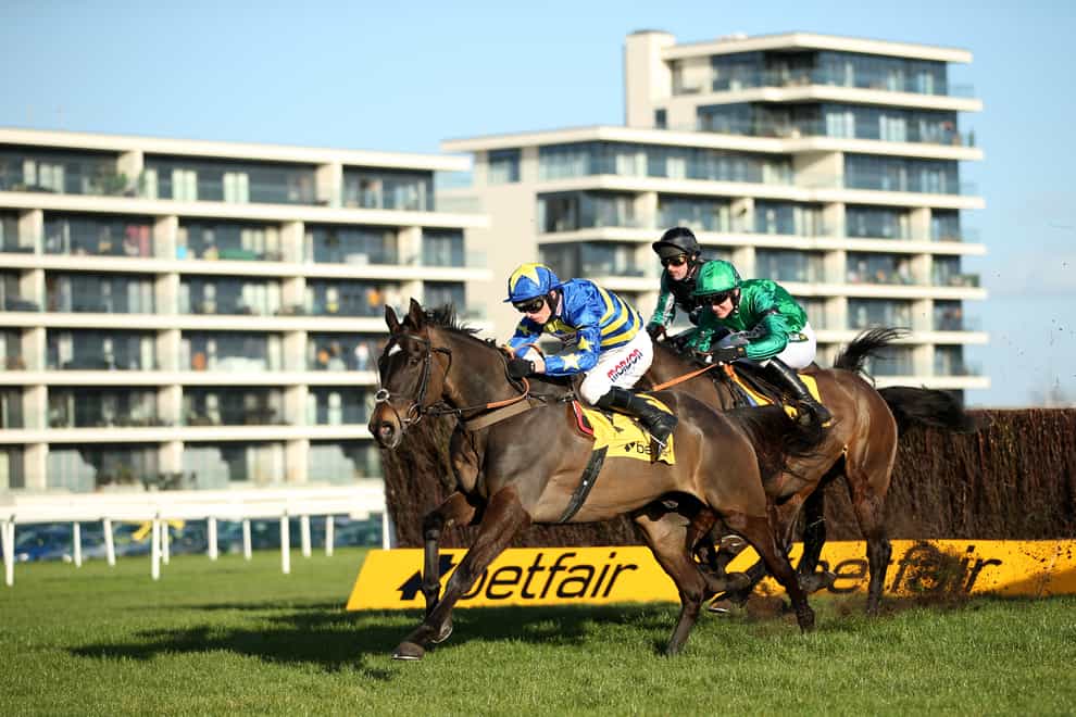 Newbury's Betfair Hurdle card will not take place on Saturday