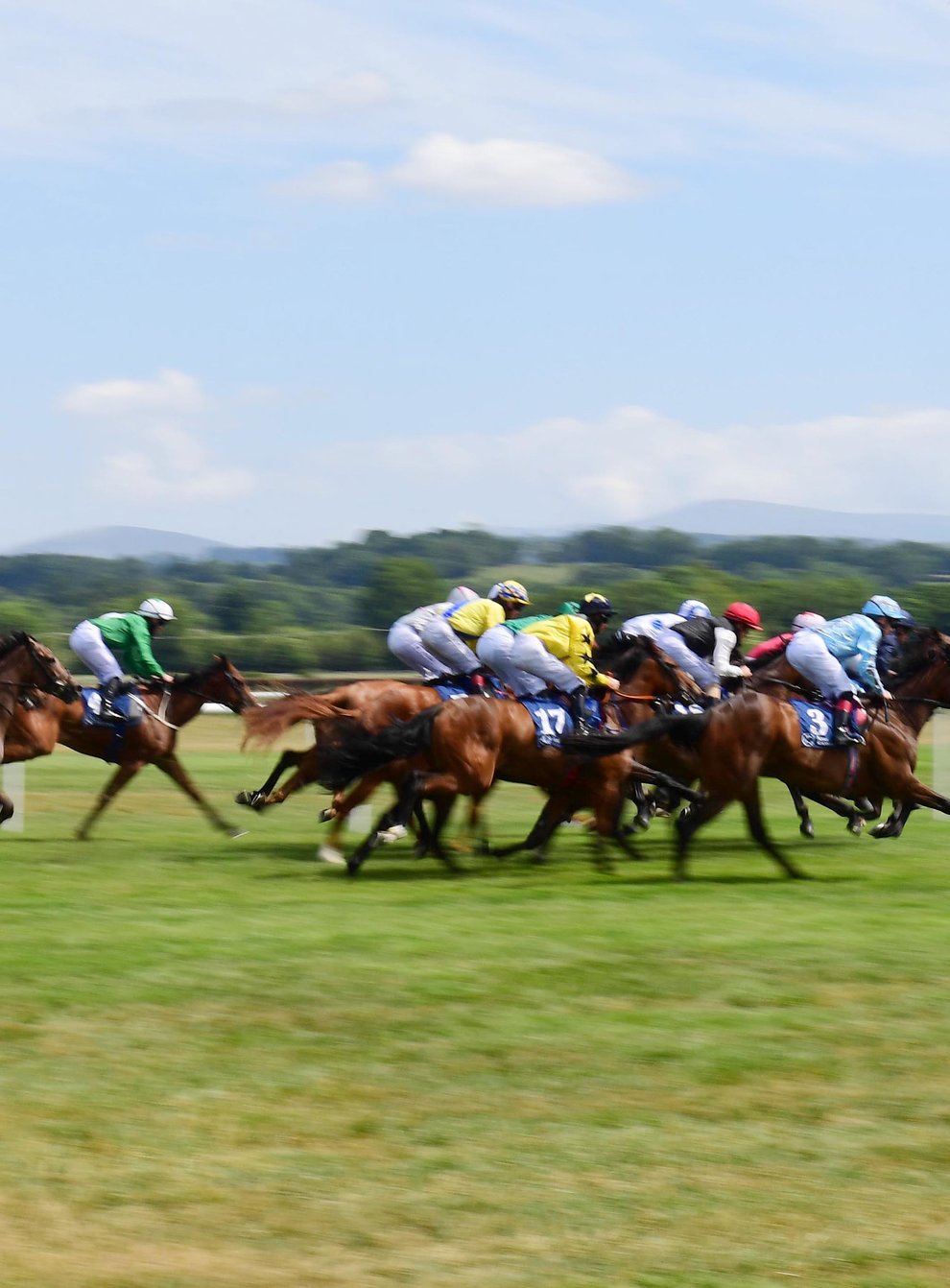 Runners and riders at Naas