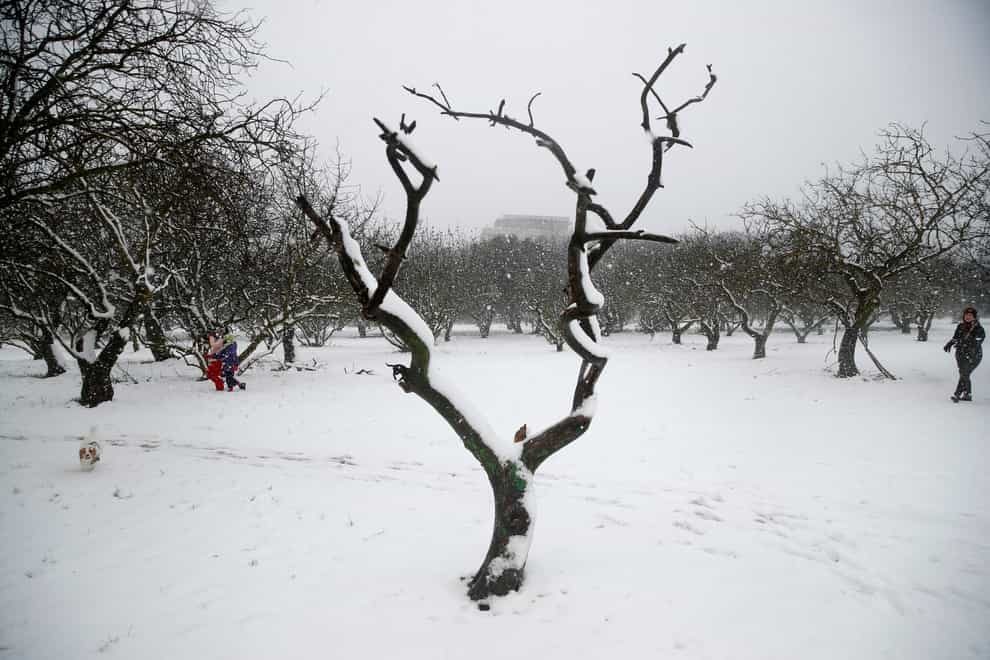 A family plays at the snow-covered Sygrou park in northern Athens