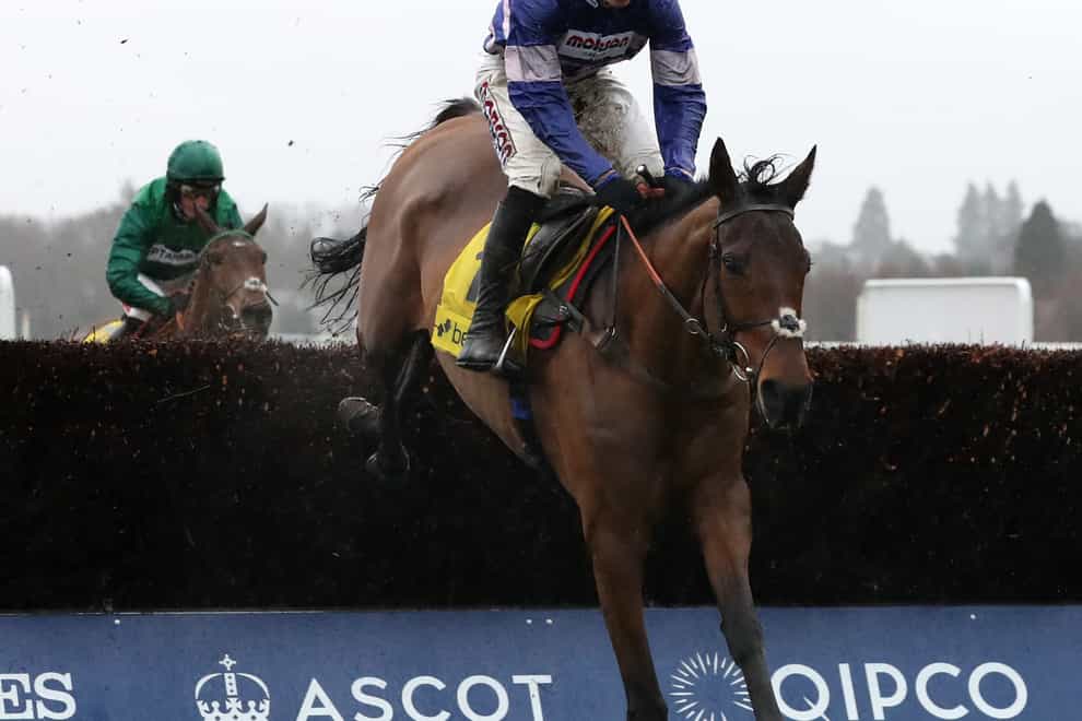 Cyrname and Harry Cobden were impressive winners of the Betfair Ascot Chase in 2019