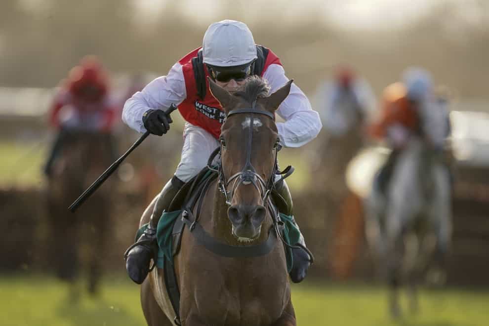 Molly Ollys Wishes romps home in the St Marys Land Warwick Mares’ Hurdle (