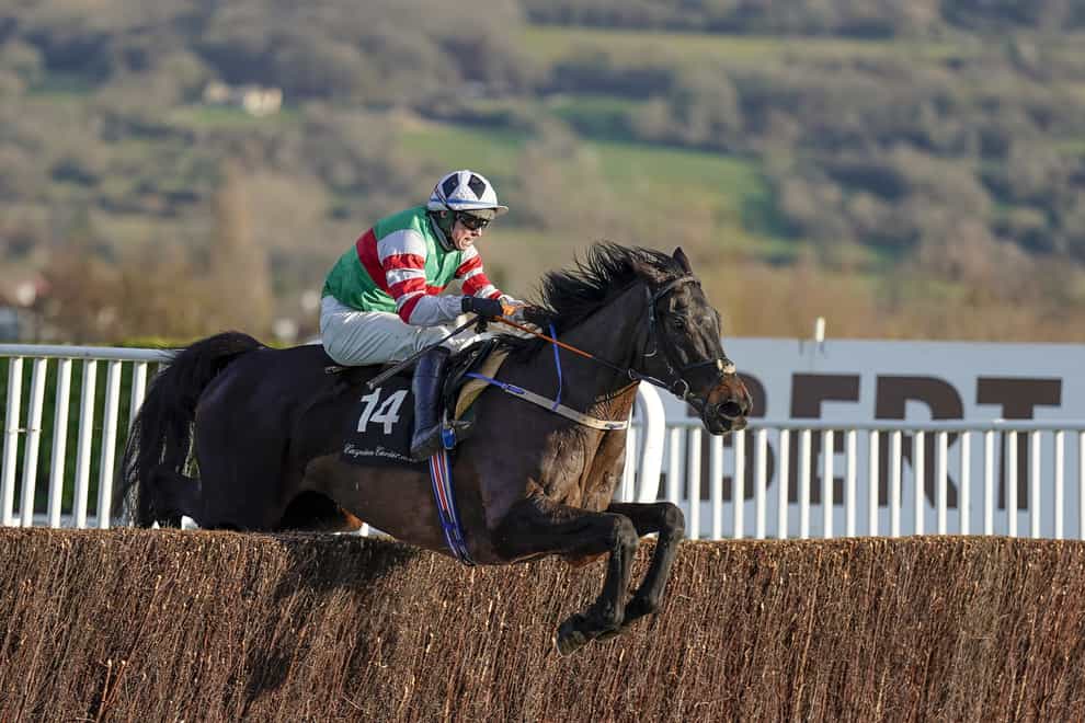 Chatham Street Lad has the Marsh Novices' Chase as his target at the Cheltenham Festival