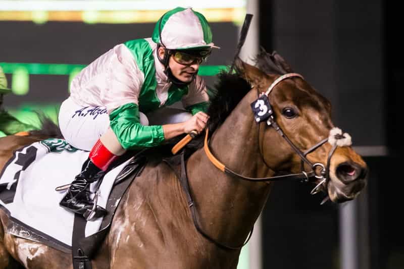 Equilateral was good again at Meydan