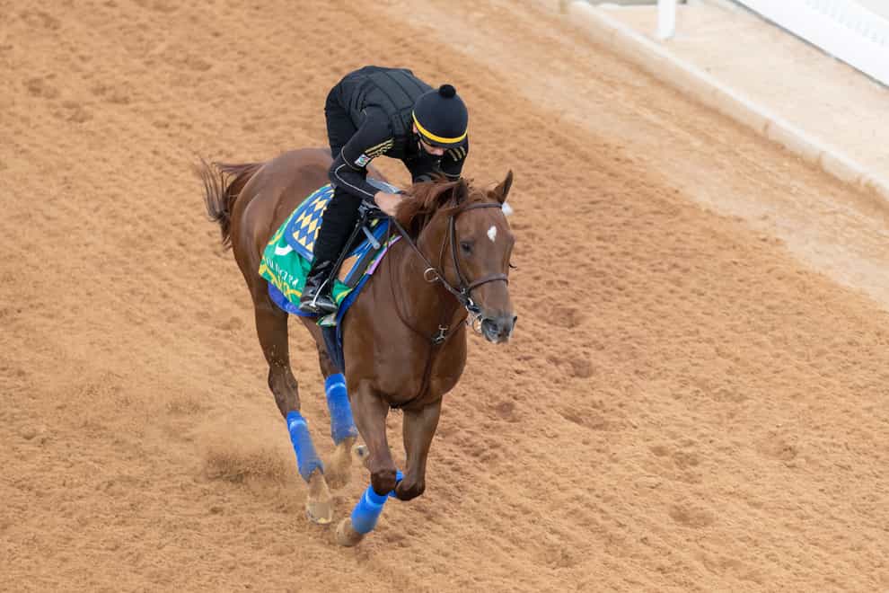 Charlatan is in top condition for the $20million Saudi Cup