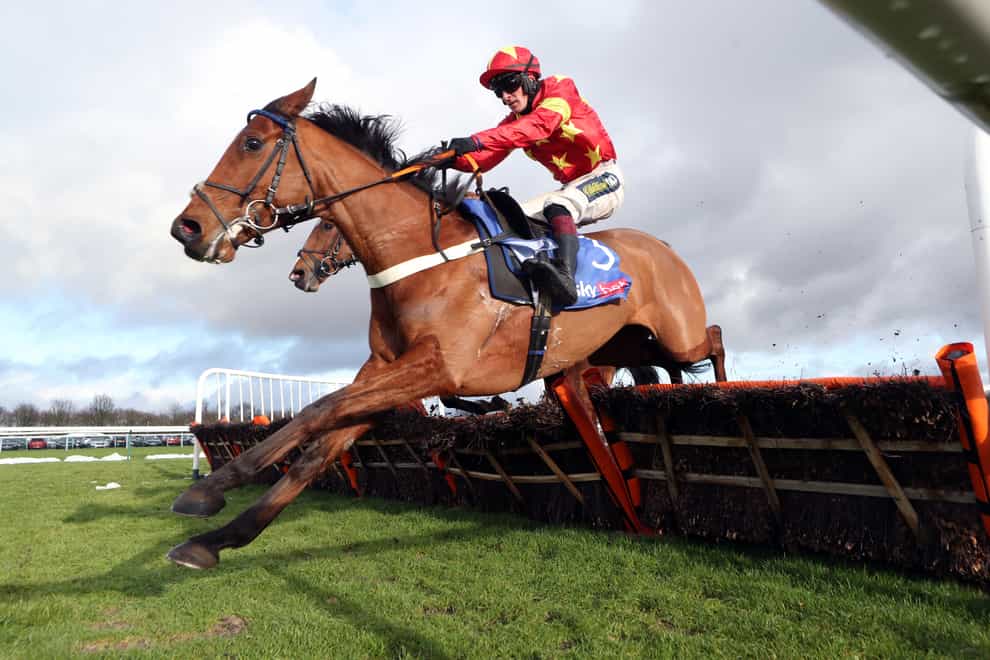 Minella Drama in action at Haydock in January