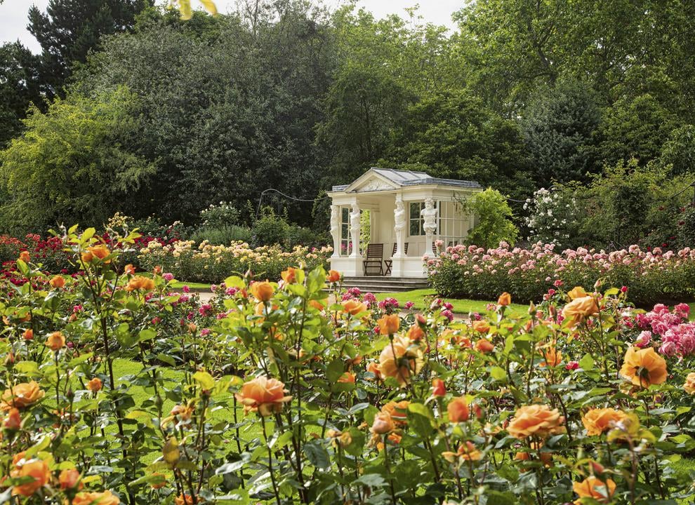 The Rose Garden at Buckingham Palace