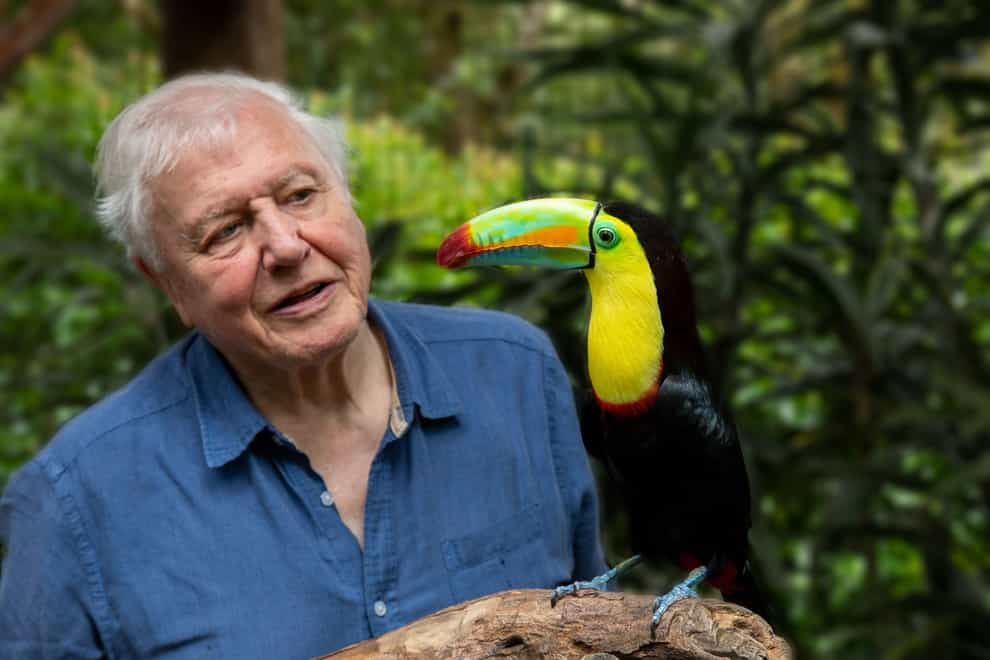 Sir David Attenborough with a toucan in Costa Rica (BBC/PA)