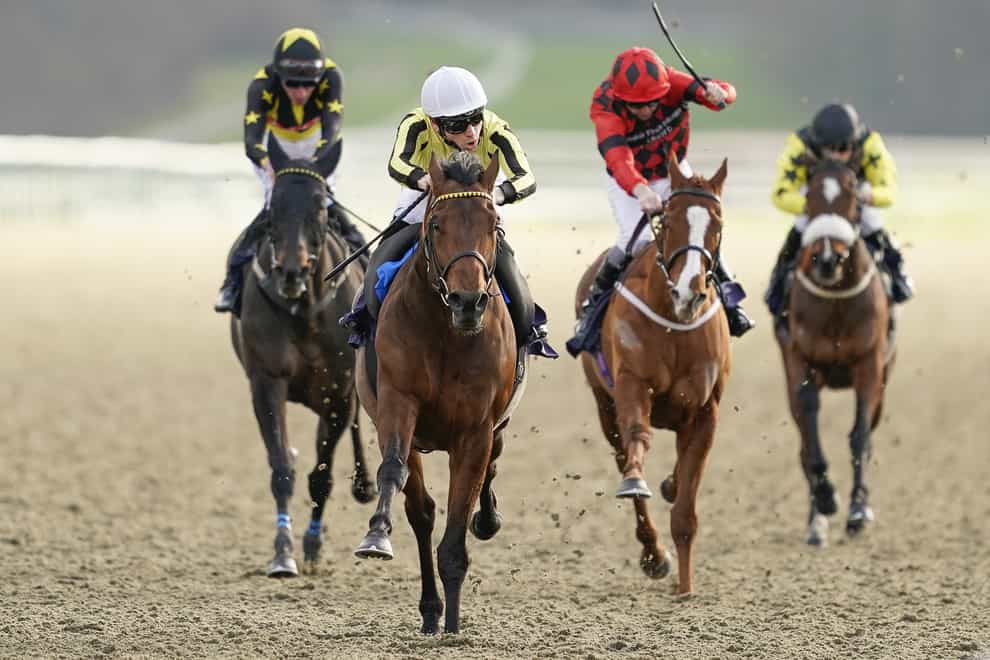 Father Of Jazz (centre) returns to Lingfield for the Winter Derby