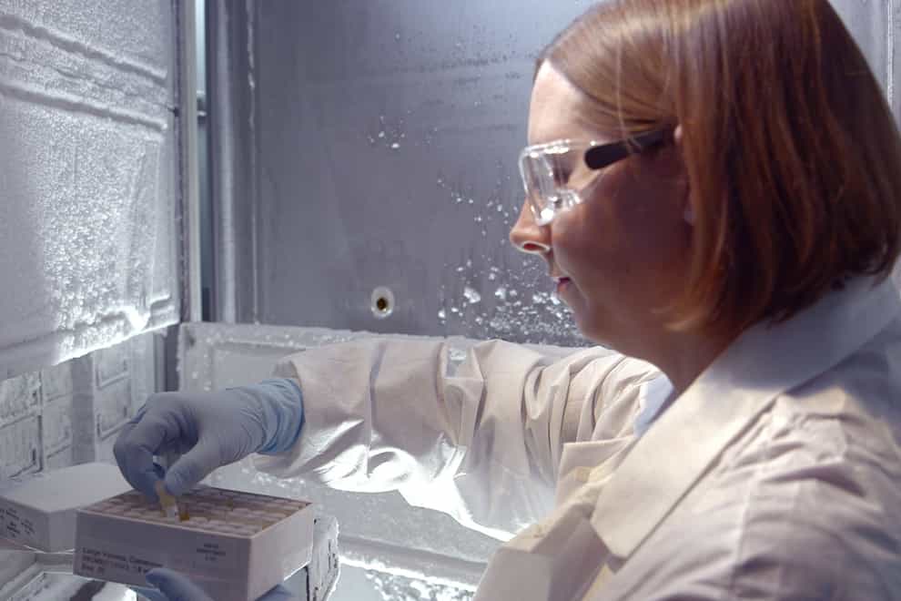 A researcher conducting lab work