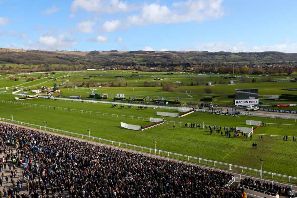 Cheltenham is currently good to soft, soft in places with the Festival less than two weeks away
