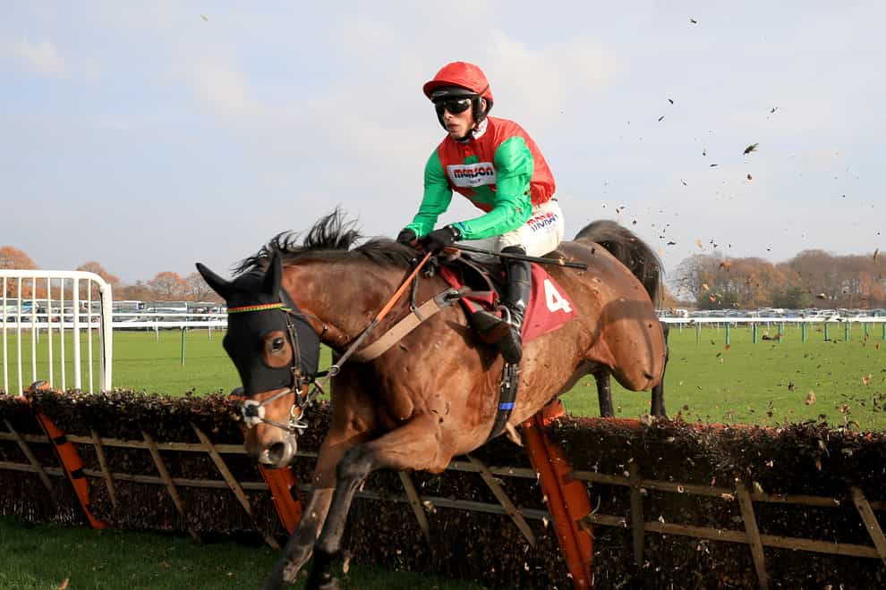 Grand Sancy is one of two runners for Paul Nicholls in the Greatwood Gold Cup