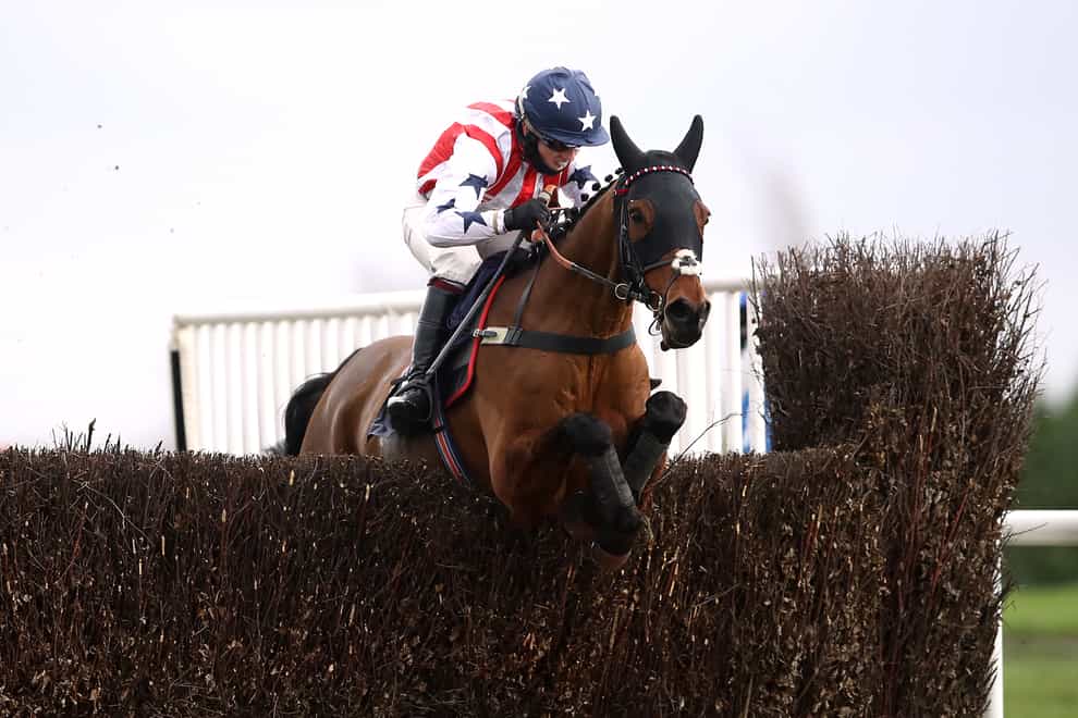 Beau Bay is on course for the Kim Muir at Cheltenham