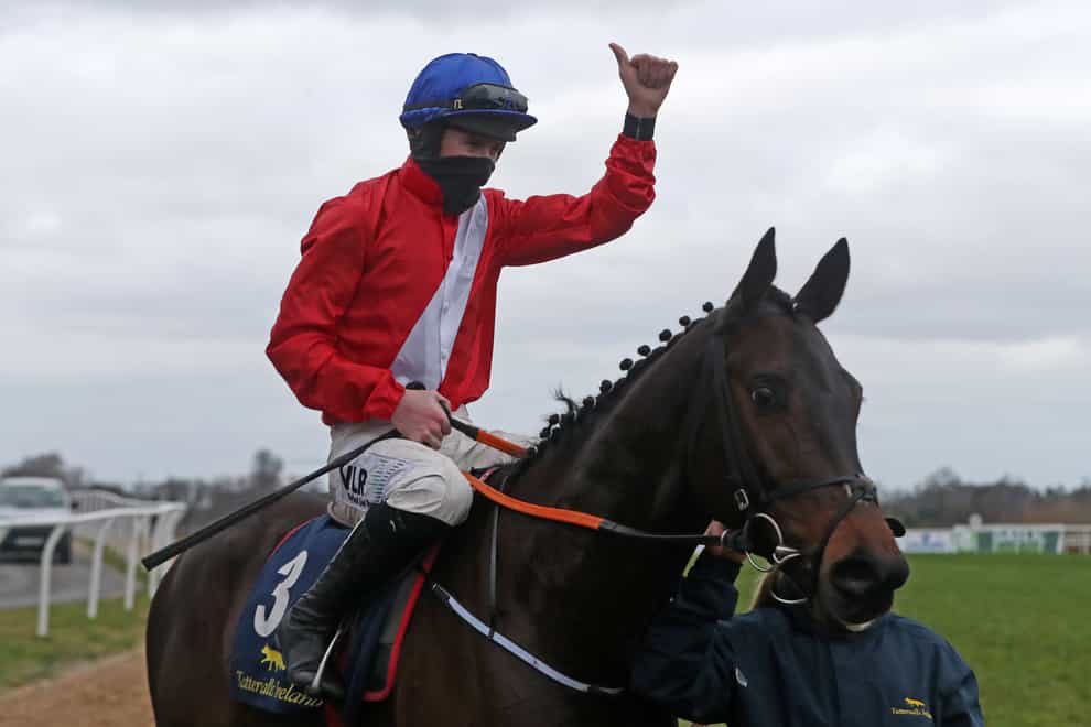 Quilixios after winning at Leopardstown in February
