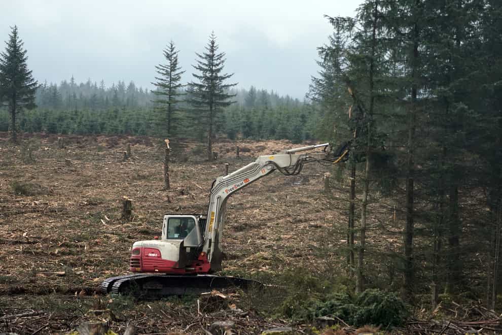 A vertical mulcher machine clears trees
