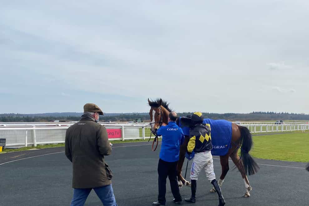 Amarillo Sky completed a double for trainer Colin Tizzard, jockey Harry Cobden and the owners at Exete