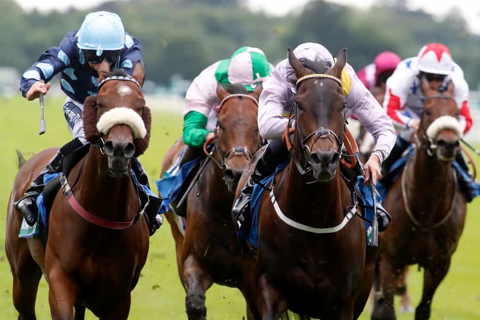 Moss Gill (centre) is ooing to Dubai for the Al Quoz Sprint