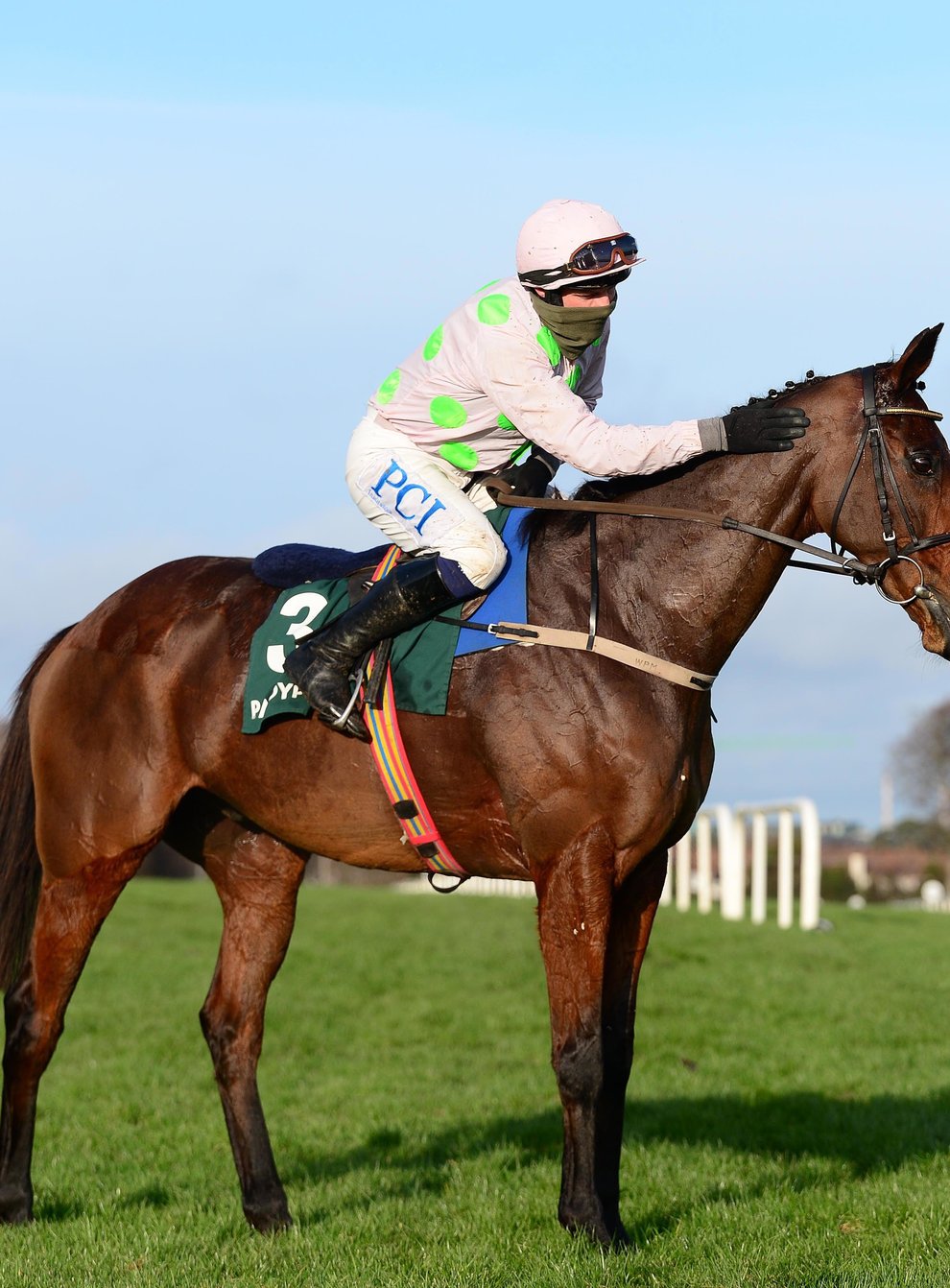 Chacun Pour Soi is a hot favourite for the Queen Mother Champion Chase