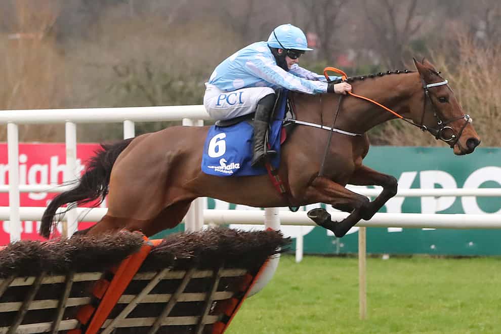 Honeysuckle heads the betting for the Champion Hurdle