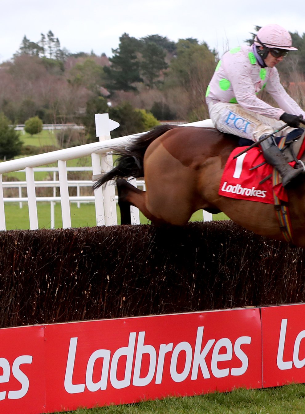 Chacun Pour Soi is set to make his first Cheltenham