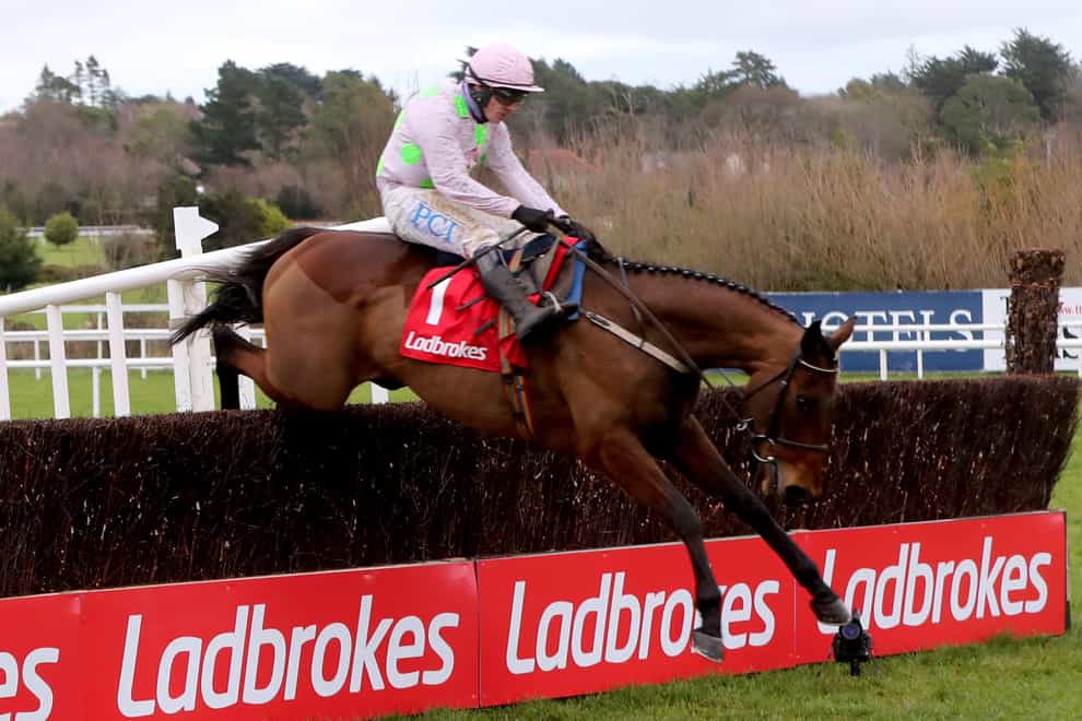 Chacun Pour Soi is set to make his first Cheltenham