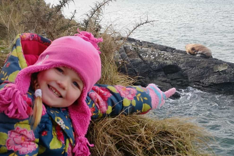 Five-year-old Muireann Houlihan points out the walrus along the coast of Valentia Island (Alan Houlihan)