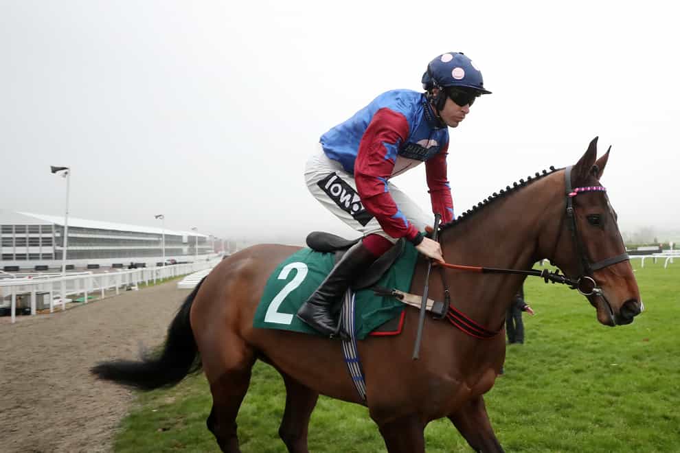 Paisley Park is the star name in the Paddy Power Stayers' Hurdle