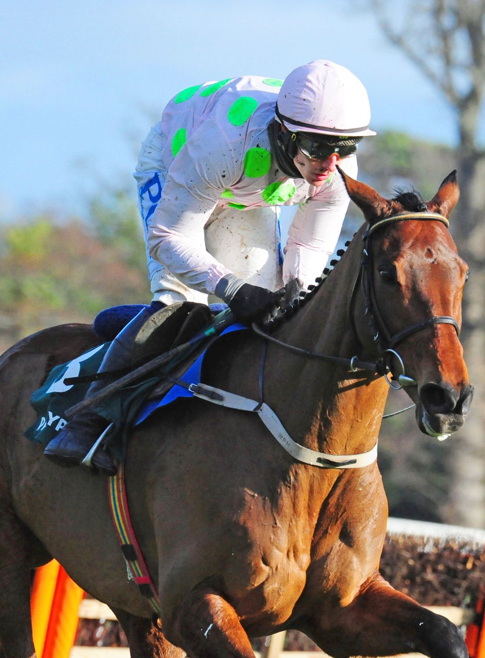 Chacun Pour Soi is bidding to give trainer Willie Mullins his first Queen Mother Champion Chase