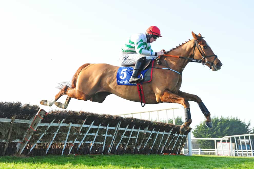 Zanahiyr is the likely favourite for Friday's JCB Triumph Hurdle