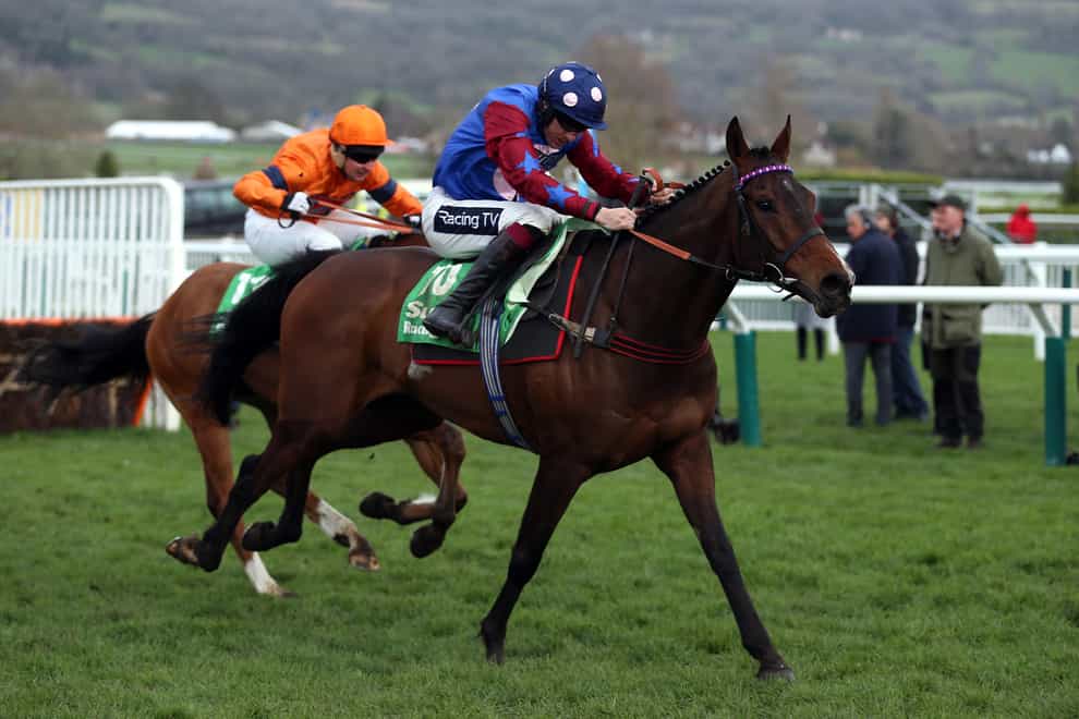 Paisley Park will try to repeat this victory in the Stayers' Hurdle in 2019 at the Cheltenham Festival
