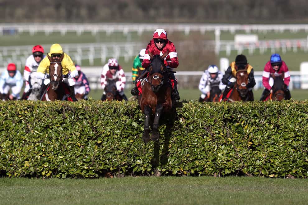 Tiger Roll could still run at Aintree - in the Bowl