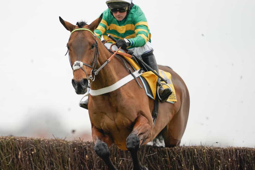 Champ is a leading hope for the Cheltenham Gold Cup