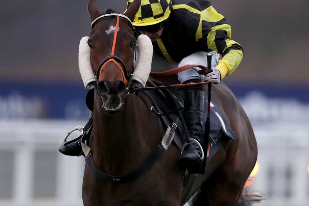 Golan Fortune in winning action at Ascot
