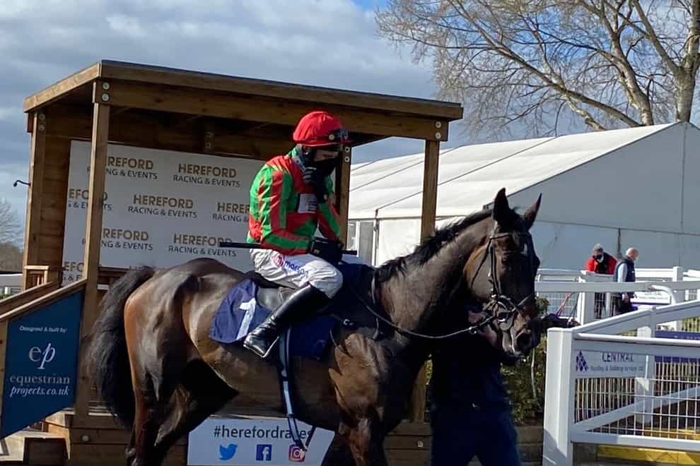 Harry Skelton and easy first race winner Real Stone