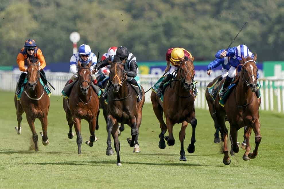 Albasheer (right) finishing second to Chindit (third right) in the Champagne Stakes at Doncaster (