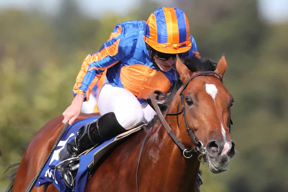 Mogul in action at Leopardstown