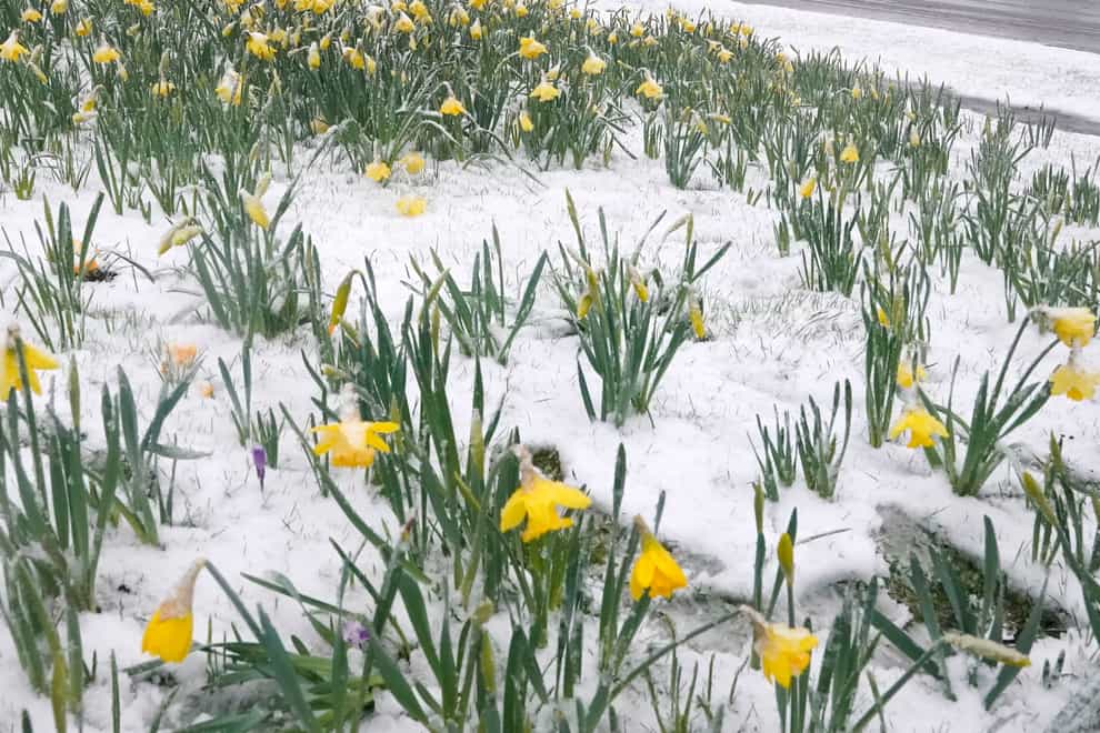 Spring weather Mar 16th 2019