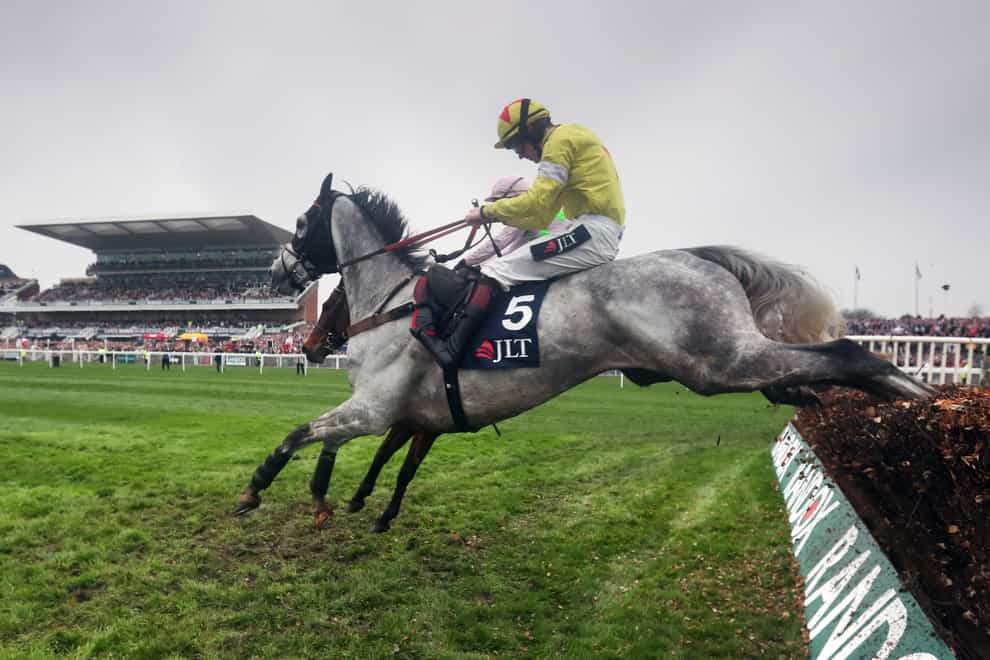 Politologue aiming for another Aintree win