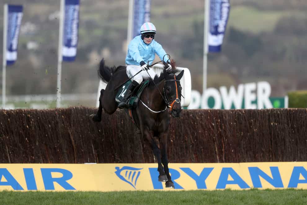 The Shunter won the Paddy Power Plate Handicap Chase at the Cheltenham Festival
